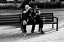 n�hled 30. obr�zku
